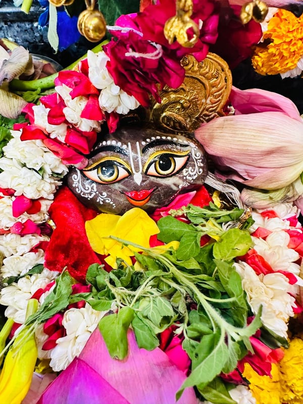 Giriraj Ji Govardhan | ISKCON Dwarka #RevivingCulture